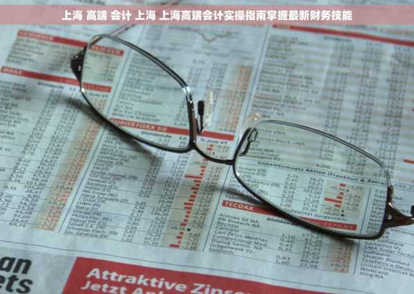 上海 高端 会计 上海 上海高端会计实操指南掌握最新财务技能