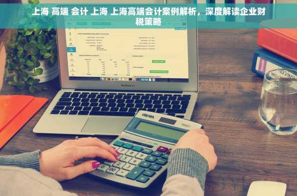 上海 高端 会计 上海 上海高端会计案例解析，深度解读企业财税策略