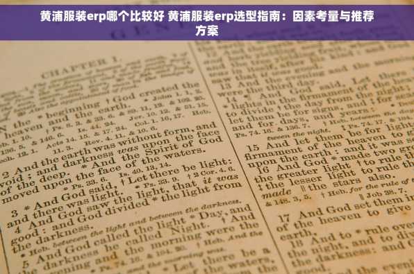 黄浦服装erp哪个比较好 黄浦服装erp选型指南：因素考量与推荐方案