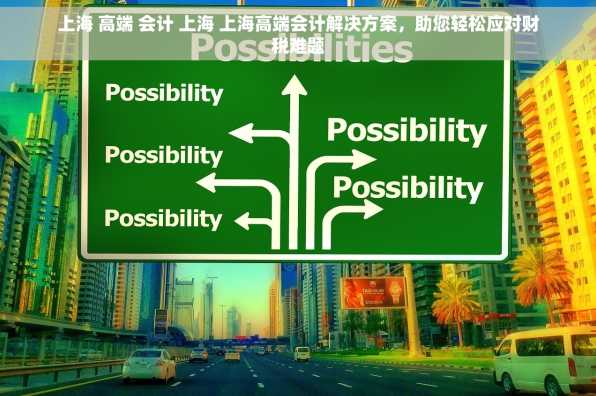 上海 高端 会计 上海 上海高端会计解决方案，助您轻松应对财税难题