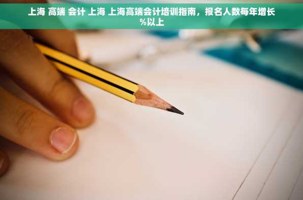 上海 高端 会计 上海 上海高端会计培训指南，报名人数每年增长%以上