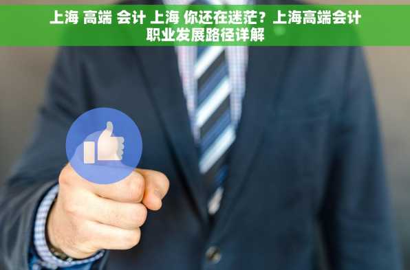上海 高端 会计 上海 你还在迷茫？上海高端会计职业发展路径详解