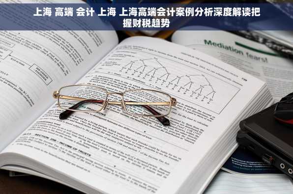 上海 高端 会计 上海 上海高端会计案例分析深度解读把握财税趋势