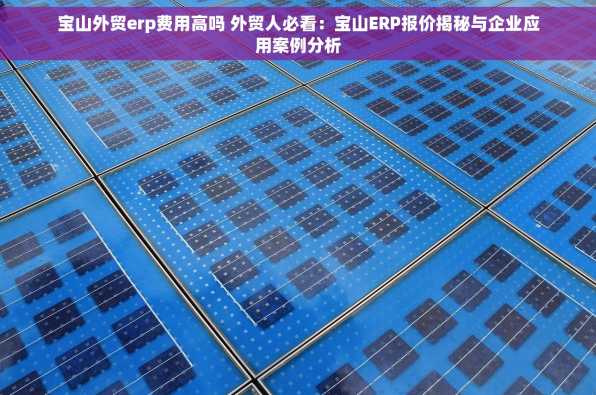 宝山外贸erp费用高吗 外贸人必看：宝山ERP报价揭秘与企业应用案例分析