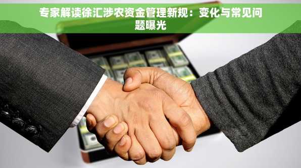 专家解读徐汇涉农资金管理新规：变化与常见问题曝光