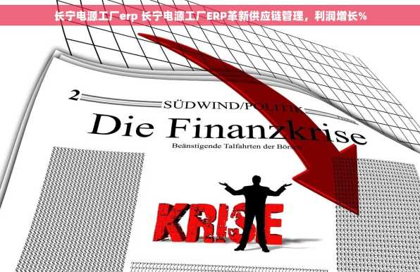长宁电源工厂erp 长宁电源工厂ERP革新供应链管理，利润增长%
