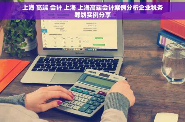 上海 高端 会计 上海 上海高端会计案例分析企业税务筹划实例分享