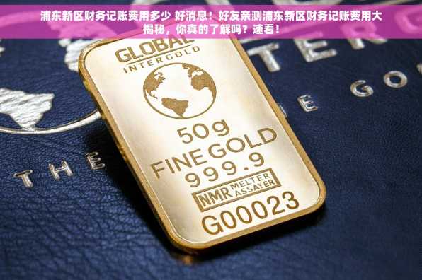浦东新区财务记账费用多少 好消息！好友亲测浦东新区财务记账费用大揭秘，你真的了解吗？速看！
