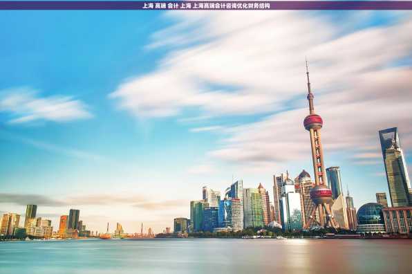 上海 高端 会计 上海 上海高端会计咨询优化财务结构