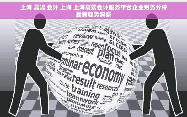 上海 高端 会计 上海 上海高端会计服务平台企业财务分析最新趋势洞察