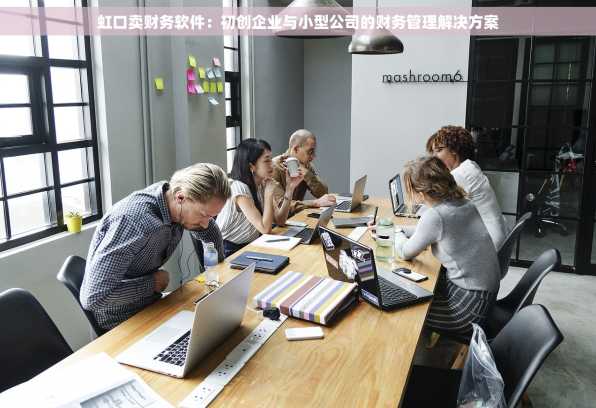 虹口卖财务软件：初创企业与小型公司的财务管理解决方案