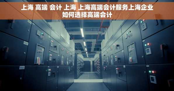 上海 高端 会计 上海 上海高端会计服务上海企业如何选择高端会计