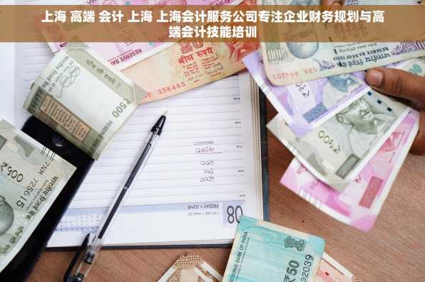 上海 高端 会计 上海 上海会计服务公司专注企业财务规划与高端会计技能培训