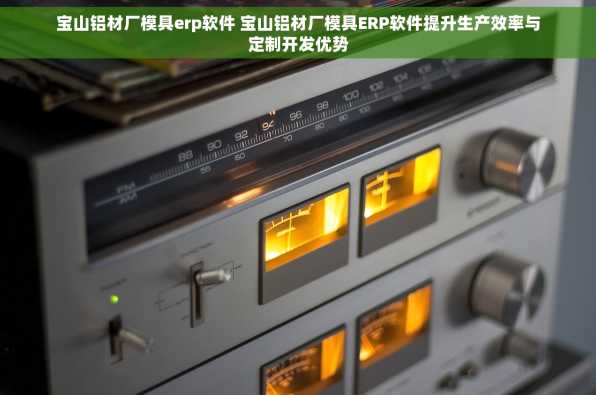 宝山铝材厂模具erp软件 宝山铝材厂模具ERP软件提升生产效率与定制开发优势
