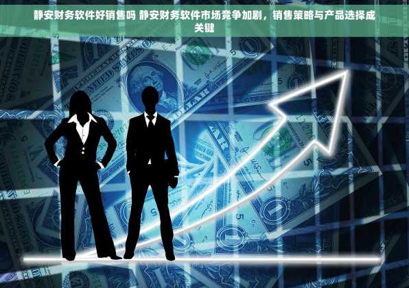 静安财务软件好销售吗 静安财务软件市场竞争加剧，销售策略与产品选择成关键