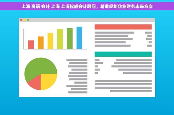 上海 高端 会计 上海 上海权威会计顾问，精准规划企业财务未来方向