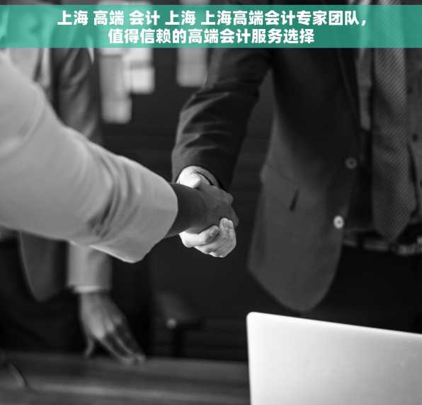 上海 高端 会计 上海 上海高端会计专家团队，值得信赖的高端会计服务选择