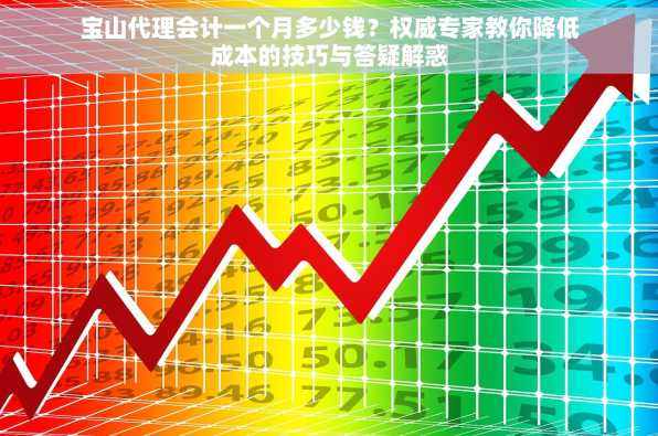 宝山代理会计一个月多少钱？权威专家教你降低成本的技巧与答疑解惑