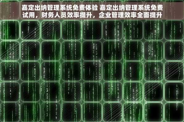 嘉定出纳管理系统免费体验 嘉定出纳管理系统免费试用，财务人员效率提升，企业管理效率全面提升%