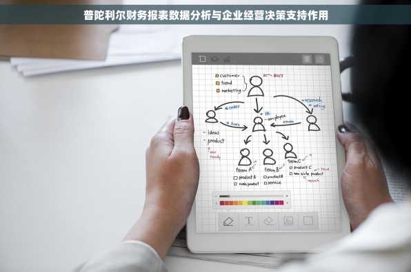 普陀利尔财务报表数据分析与企业经营决策支持作用