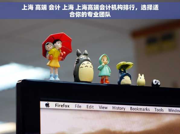 上海 高端 会计 上海 上海高端会计机构排行，选择适合你的专业团队