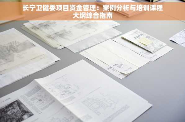 长宁卫健委项目资金管理：案例分析与培训课程大纲综合指南