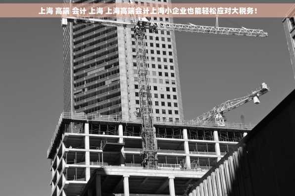 上海 高端 会计 上海 上海高端会计上海小企业也能轻松应对大税务！