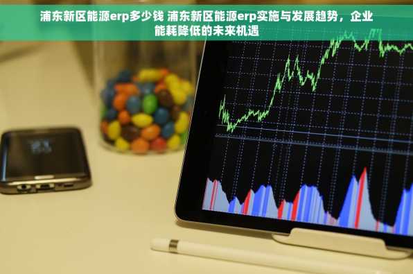 浦东新区能源erp多少钱 浦东新区能源erp实施与发展趋势，企业能耗降低的未来机遇