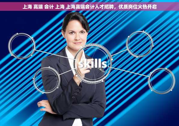 上海 高端 会计 上海 上海高端会计人才招聘，优质岗位火热开启