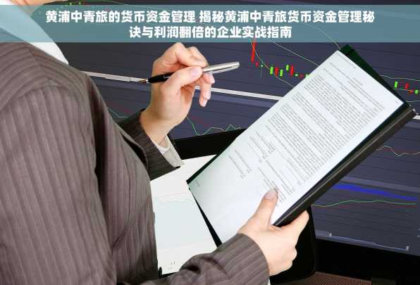 黄浦中青旅的货币资金管理 揭秘黄浦中青旅货币资金管理秘诀与利润翻倍的企业实战指南