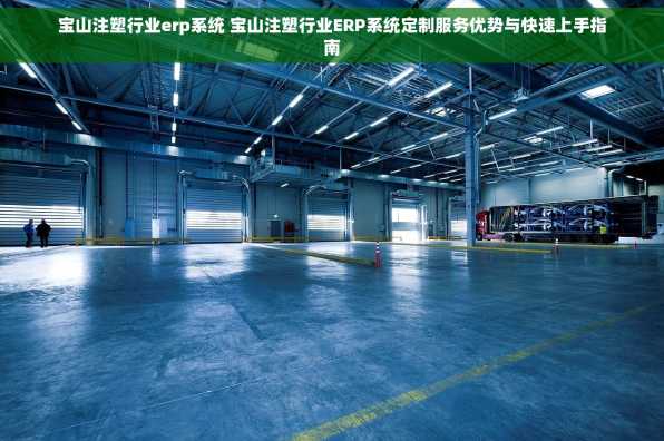 宝山注塑行业erp系统 宝山注塑行业ERP系统定制服务优势与快速上手指南