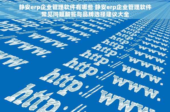 静安erp企业管理软件有哪些 静安erp企业管理软件常见问题解答与品牌选择建议大全
