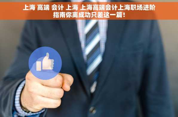 上海 高端 会计 上海 上海高端会计上海职场进阶指南你离成功只差这一篇！