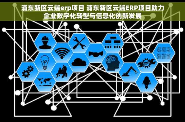 浦东新区云端erp项目 浦东新区云端ERP项目助力企业数字化转型与信息化创新发展