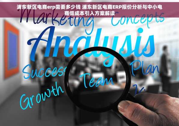 浦东新区电商erp需要多少钱 浦东新区电商ERP报价分析与中小电商低成本引入方案解读