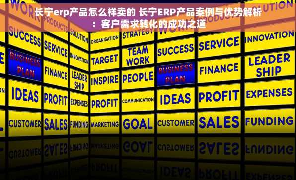 长宁erp产品怎么样卖的 长宁ERP产品案例与优势解析：客户需求转化的成功之道