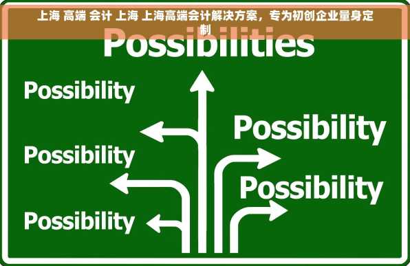上海 高端 会计 上海 上海高端会计解决方案，专为初创企业量身定制