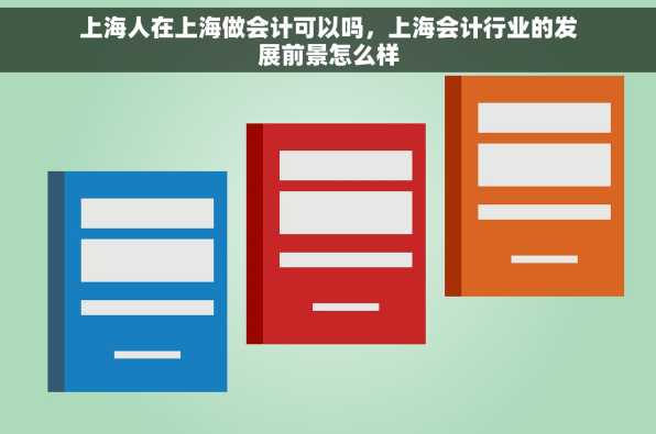 上海人在上海做会计可以吗，上海会计行业的发展前景怎么样