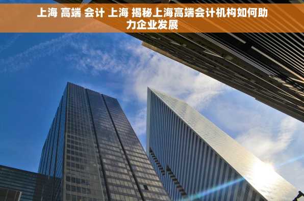 上海 高端 会计 上海 揭秘上海高端会计机构如何助力企业发展