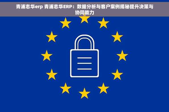 青浦志华erp 青浦志华ERP：数据分析与客户案例揭秘提升决策与协同能力