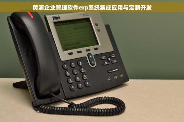 黄浦企业管理软件erp系统集成应用与定制开发