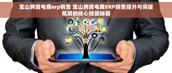宝山跨境电商erp销售 宝山跨境电商ERP销售提升与突破瓶颈的核心技能秘籍