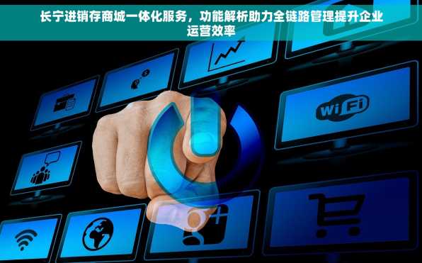 长宁进销存商城一体化服务，功能解析助力全链路管理提升企业运营效率