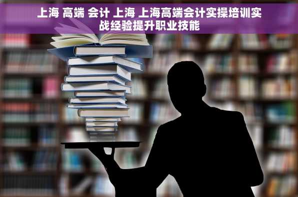 上海 高端 会计 上海 上海高端会计实操培训实战经验提升职业技能