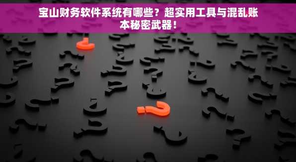 宝山财务软件系统有哪些？超实用工具与混乱账本秘密武器！