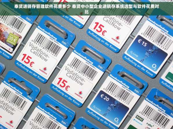 奉贤进销存管理软件花费多少 奉贤中小型企业进销存系统选型与软件花费对比