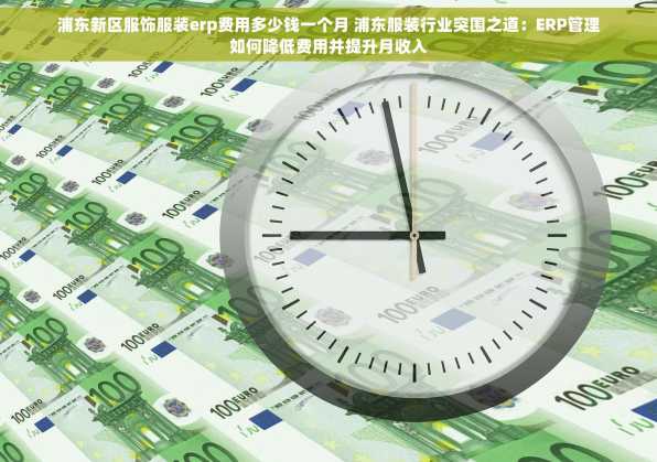 浦东新区服饰服装erp费用多少钱一个月 浦东服装行业突围之道：ERP管理如何降低费用并提升月收入