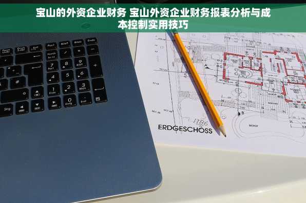 宝山的外资企业财务 宝山外资企业财务报表分析与成本控制实用技巧