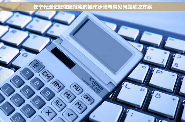 长宁代理记账做账报税的操作步骤与常见问题解决方案