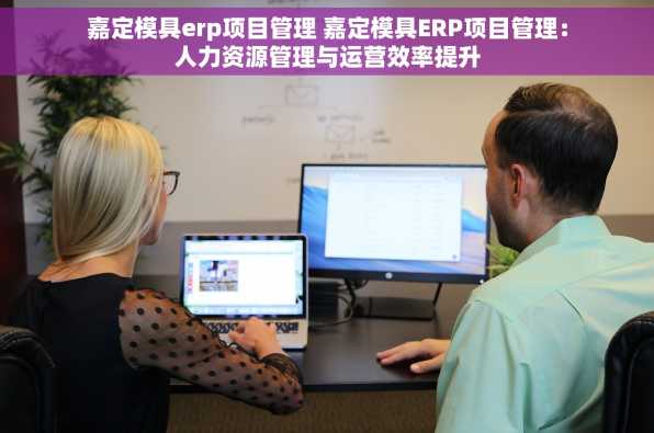 嘉定模具erp项目管理 嘉定模具ERP项目管理：人力资源管理与运营效率提升